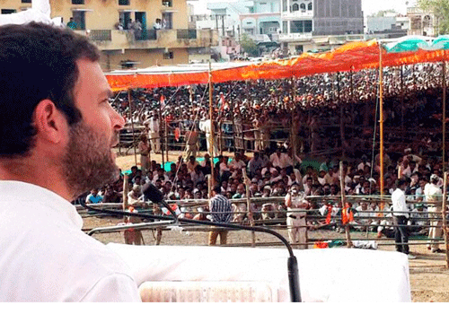 Amethi, seen as the Gandhi family's pocket borough, is seething with anger. This Lok Sabha constituency in the Awadh region of Uttar Pradesh has since 1977 never been as angry with a Gandhi as it is with Rahul, the scion of the family and the incumbent  MP. PTI