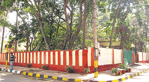 The footpath near Rajkumar's house, which had become a garbage dumping yard, wears a new look. DH photo