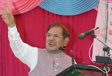 Much before the parliamentary election was announced, the JD (U) president and sitting MP from Madhepura, Sharad Yadav, reportedly expressed his desire to Bihar Chief Minister Nitish Kumar that he would prefer a Rajya Sabha ticket instead of contesting the Lok Sabha poll in 2014.  DH photo