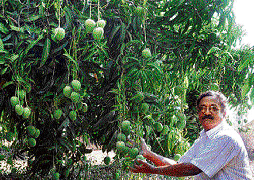 Mahesh, a farmer of Kukanapalli village in Koppal district, had purchased three acres of land beside the village.