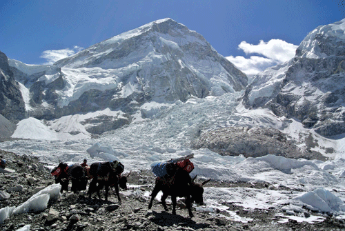 Expeditions to Mount Everest this spring in Nepal have come to a standstill as local Sherpa guides and foreign climbers began to descend from the base camp of the world's highest peak, stakeholders said. Reuters