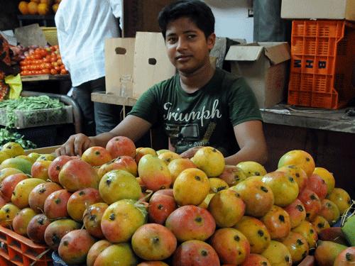 The EU's standing committee on plant health recently said that it found 207 consignments of fruits and vegetables from India imported into the EU in 2013 to be contaminated by fruit flies and other quarantine pests. DH file photo for representation only