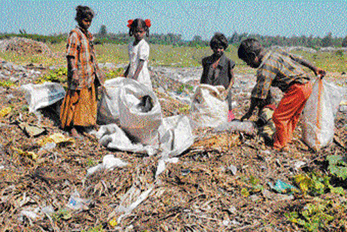 A group of child ragpickers collect garbage at Choodasandra in the City. DH&#8200;Photo