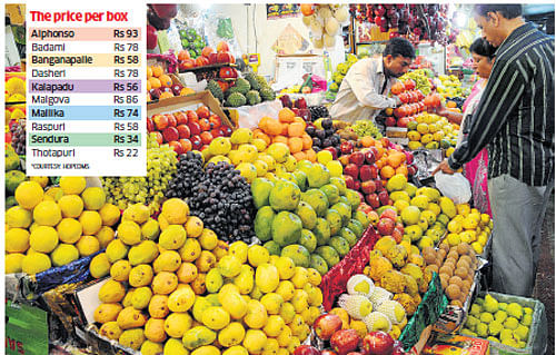 ABUNDANT:  Mangoes have arrived in the markets and Bangaloreans are feasting on them.