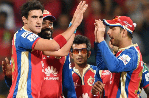 Royal Challengers Bangalore Mitchell Starc with team mates celebrates the wicket of Quinton De Cok during the IPL 7 match against Delhi Daredevils at Chinnaswamy Stadium in Bengaluru on Tuesday. PTI Photo
