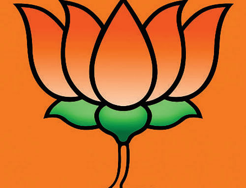 The Bharatiya Janata Party (BJP) was Friday set  to create an electoral record by becoming the first party in 30 years to  win a majority on its own in the Lok Sabha. Representational Photo
