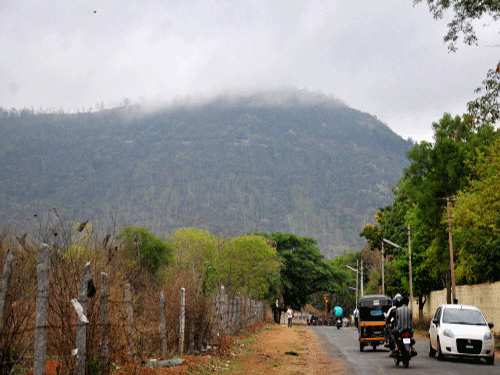 In a first major step after ordering the probe into the controversy surrounding close to 2,000 acres of land near the foot of Chamundi Hill in the city, the two member team of retired bureaucrats will be arriving in the city on May 20 to vet into the veracity of the claimants. DH photo