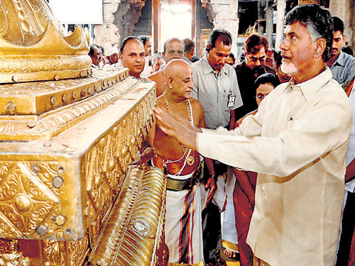 TDP president N Chandrababu Naidu offers prayers at Lord Venkateswara temple at Tirumala in Tirupati on Monday. PTI
