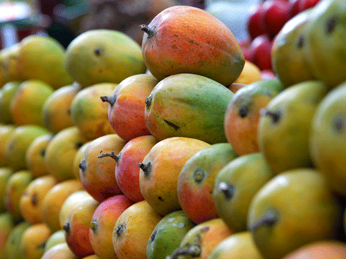 The British government today held talks with all the stakeholders to help lift the EU ban on the import of Indian mangoes before the sanctioned date of December 2015. DH file photo