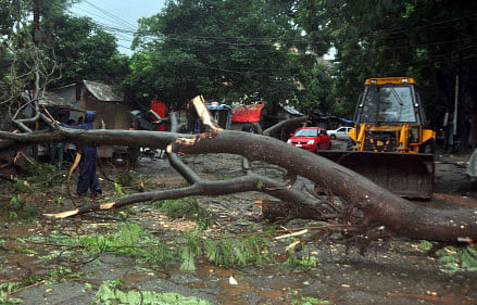 Seven people were killed in a storm that raged across Jharkhand early this morning uprooting electricity poles and hundreds of trees. PTI photo
