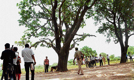 A police dog sniffs the area around the tree where the two teenage girls were found hanging after they were gang-raped in Budaun. The two cousins had walked out together at night to relieve themselves when the incident took place. AP file photo