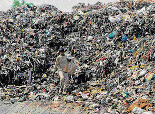 A man picks up garbage outside the garbage plant in Mandur village. DH&#8200;Photo