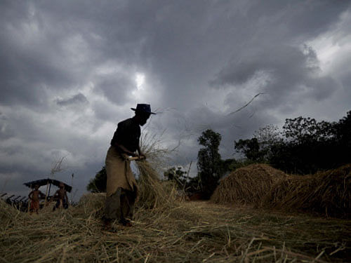 As President Pranab Mukherjee flagged up concerns of a sub-normal monsoon, the Agriculture Ministry on Monday unveiled a series of contingency steps, including subsidised diesel, cheaper loans and extra seeds for farmers. PTI file photo