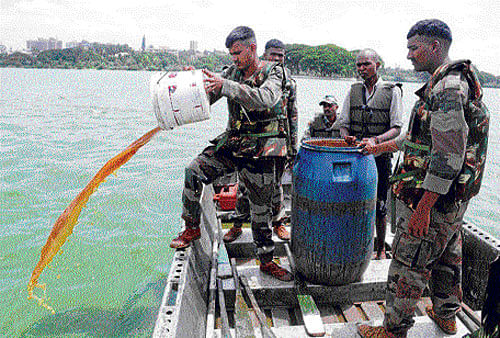 MEG personnel, along with BBMP workers, pour microbe  solution into Ulsoor Lake on Monday. DH&#8200;Photo