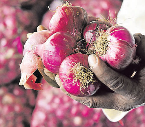 Onion prices have shot up across the State in the recent days bring tears for the consumers. / DH Photo