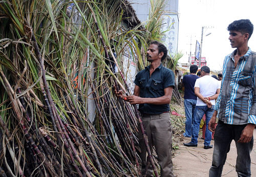 The Centre today decided to provide additional interest-free loan of up to Rs 4,400 crore to cash-starved sugar industry for paying cane arrears. DH file photo