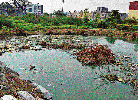Dumping of garbage and  discharge of sewage has polluted the Kammasandra Lake in Electronics City. DH&#8200;Photo