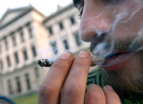 Genes that increase the risk of developing schizophrenia may also increase the likelihood of using cannabis, according to a new study. Ap File Photo