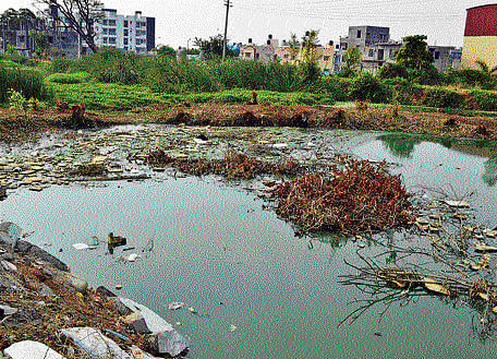 The City's mounting garbage has resulted in largescale pollution of large and prominent water bodies such as Varthur, Madivala, and Yelemallappachetty lakes (K R Puram). The level of contamination is alarming as the presence of nitrate has been found in these lakes, which are in the City's IT corridor. DH photo