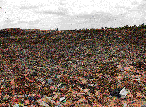 Stinking to 'high heaven' Garbage lies uncleared near the gate between the Vikasa   Soudha and the Vidhana Soudha in Bangalore on Tuesday. dh Photo