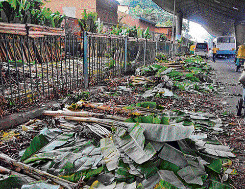 waiting to be cleared: The leftovers of the plantain stems and leaves, after the Ayudha Puja sales, in KR&#8200;Market. dh Photo