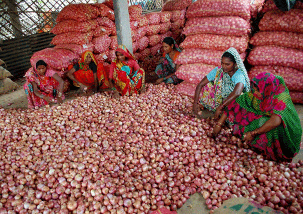 The Centre on Wednesday decided to enforce a stock holding limit on onions and potatoes by bringing the two staples under the Essential Commodities Act (ECA). PTI file photo