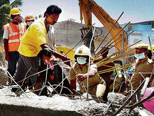 Rescue officials at work with a sniffer dog at the site of the collapsed building in Porur on Thursday. PTI