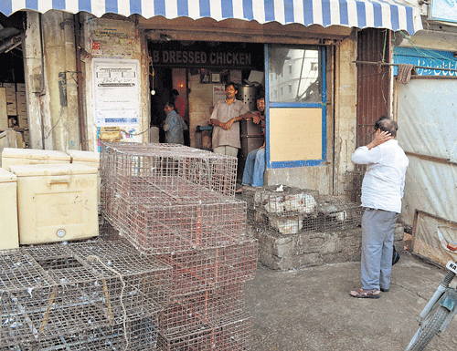 Quick glance: The outside view of a chicken store in Shivajinagar.