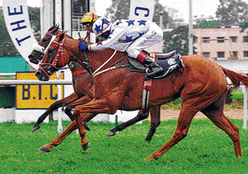 Galloping major: Lad Star (background), ridden by Bhawani Singh, finishes in first place, just ahead of Alcazaba, in the K N&#8200;Guruswamy Memorial Trophy in Bangalore. DH PHOTO