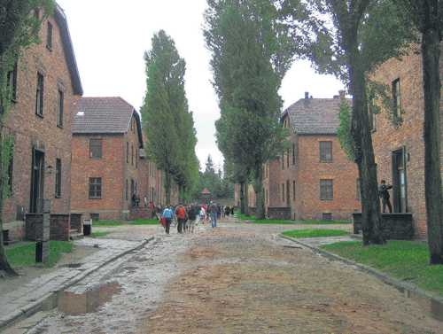 Inside the Auschwitz camp.  photos by author