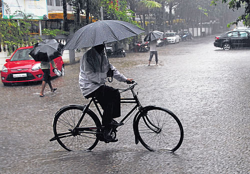 monsoon multitasking: A man holds an umbrella as he rides a bicycle through a street during rain in Mumbai on Sunday. AP