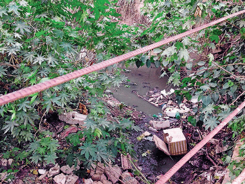 Dirty: Garbage floats in the storm water drain near the temples in HBR Layout.