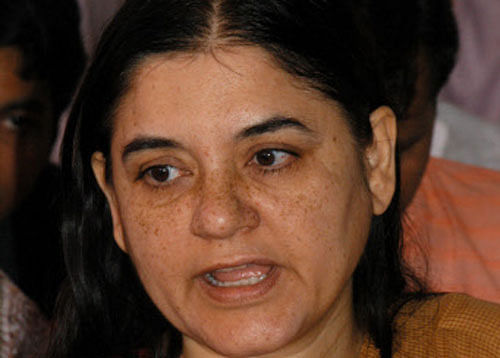 Pitching for her son and Sultanpur MP, Union Minister Maneka Gandhi has said that Uttar Pradesh would have benefited had there been a BJP led government in the state with Varun Gandhi as its chief minister. DH photo