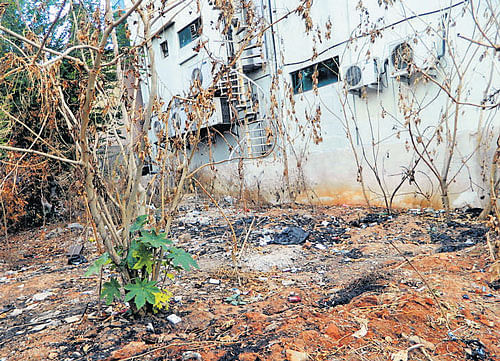In a sorry state: The pathetic condition of the Horamavu Park located in Mahadevapura constituency in the City. DH PHOTO