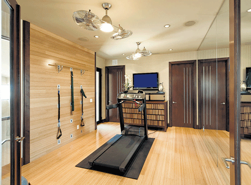 A homegym would make it easy to implement an exercise plan.