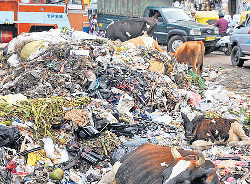 The BBMP's failure to tackle the garbage crisis has forced people to repose faith in alternative fora like the National Consumer Complaint Forum. DH FILE PHOTO