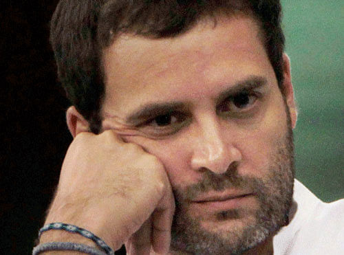 An embattled Congress on Friday rushed to shield its future leader Rahul Gandhi and absolved him of any responsibility for the party's crushing defeat in the Lok Sabha elections. PTI photo