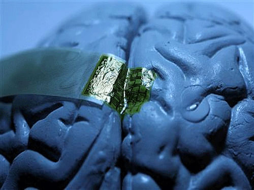 Connections between certain brain regions are amplified in teens more prone to risk-taking, scientists have found. Reuters file photo. For representation purpose