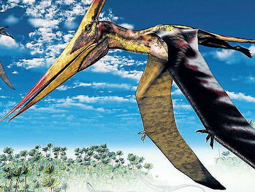 Recent discoveries have shownspecies of feathered dinosaurs.