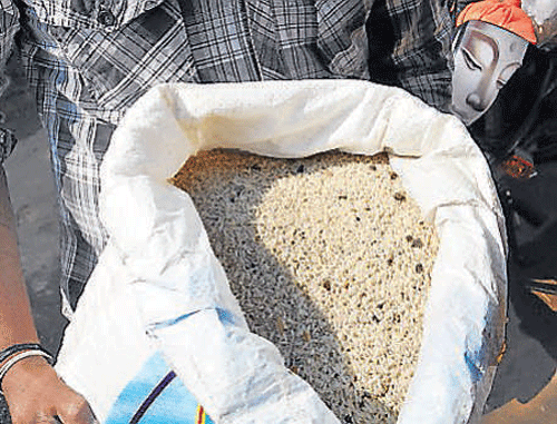 A large quantity of rice meant for the Anna Bhagya scheme has become infested with pests. DH&#8200;Photo