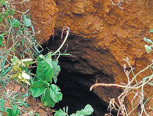 Water yield depends on the aquifer under the ground and not the diameter of the borewell. DH FILE Photo