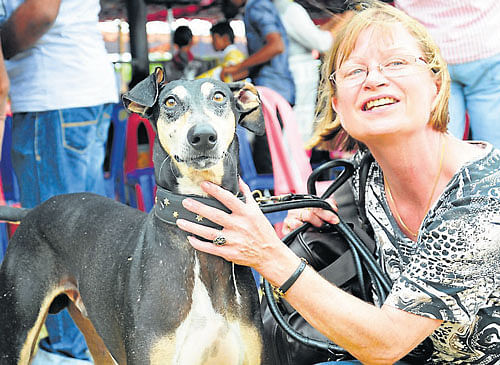 Ingrid Dume with her Chippiparai breed dog. DH PHOTOS
