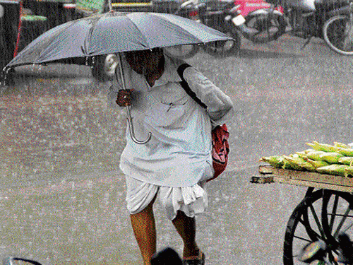 walking in the rain: An elderly person walks down the road on a rainy afternoon in Bagalkot on Saturday. DH Photo