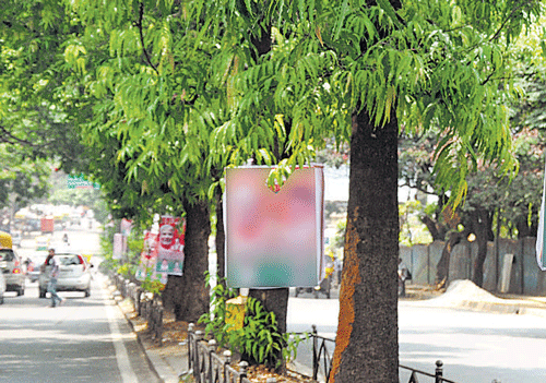 Driving nails into trees causes their slow death as fungi enter the centre of the trunk and make it rot, says environmentalist A N Yellappa Reddy. DH PHOTO