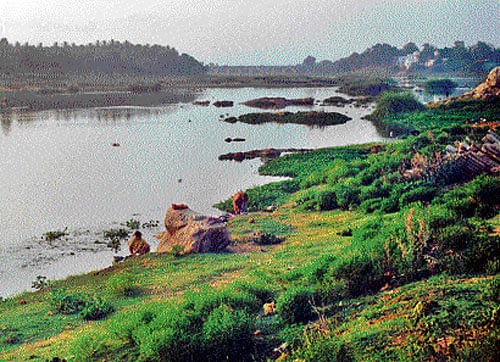 Venerated : River Tungabhadra flowing by the town of Honnali. photo by author