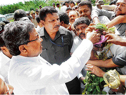 In the wake of farmers demanding more compensation after losing their crops to rains, Chief Minister Siddaramaiah said on Tuesday that a decision in this regard would be taken after discussing the issue at the next Cabinet meeting. DH photo