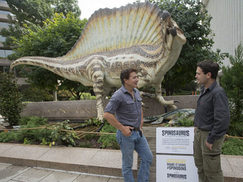 University of Chicago Paleontologists Paul C. Sereno, left, and Nizar Ibrahim, right, infront of a 50-foot life-size model of a Spinosaurus dinosaur that is currently on display outside entrance to the National Geographic Society in Washington, Wednesday, Sept. 10, 2014. National Geographic has put together a life-size model of the first non-bird dinosaur that could live much of the time in water. AP Photo