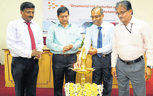 Corporation Bank General Manager Lakshminatha Reddy lights the lamp to inaugurate                 training programme on 'Ornamental fish production and marketing', at College of Fisheries in Mangalore on Wednesday.