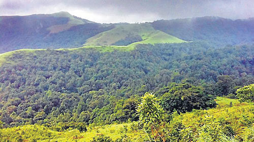 A view of the Western Ghats. DH photo
