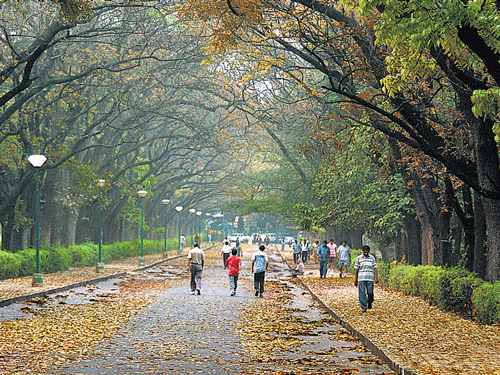 Members of the Cubbon Park Walkers' Association (CPMA) on Saturday protested against the State government's proposal to introduce entry fee at Cubbon Park. DH file photo